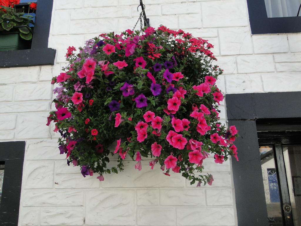 The Red Lion Inn Doune 외부 사진